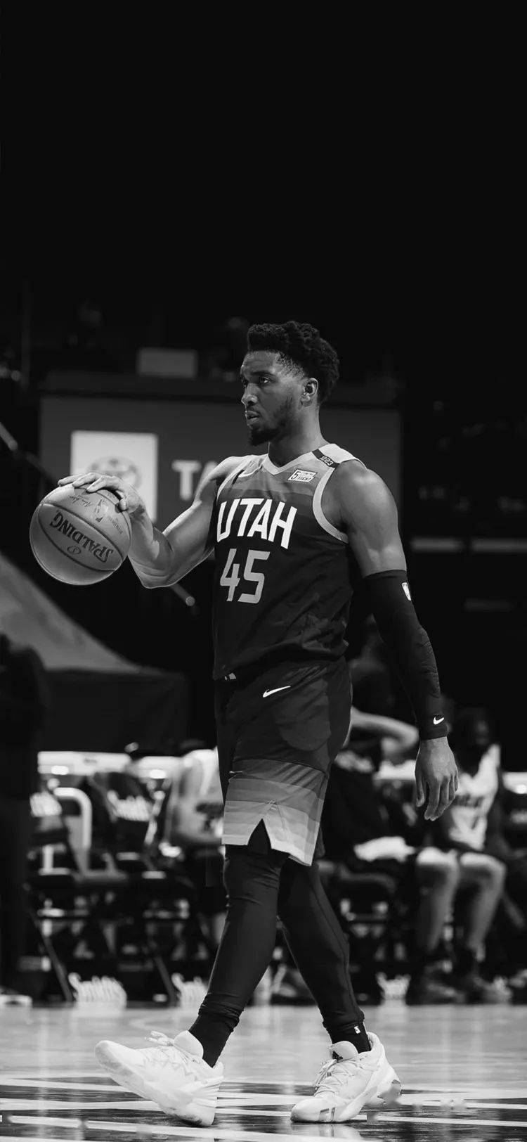 霍芬海姆3 霍芬海姆3