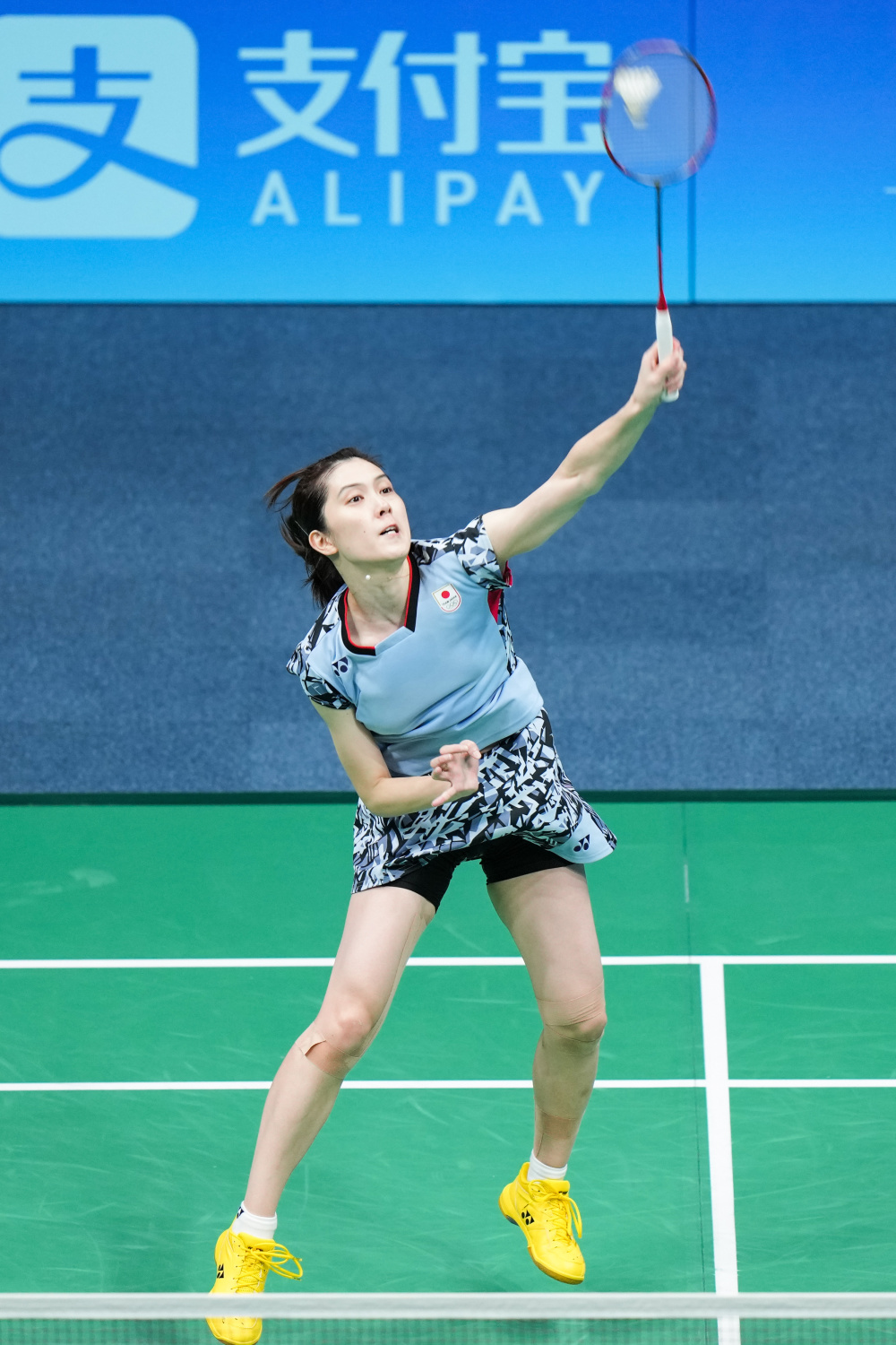 势的老将 势的老将